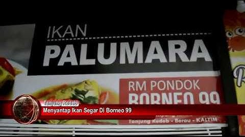 Menyantap Ikan Segar di Borneo 99