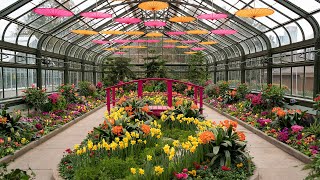 Niagara Parks presents its first Spring Orchid Show