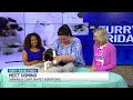 Furry Friends Friday - Domino