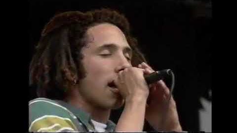 Rage Against the Machine - Killing in the Name But It