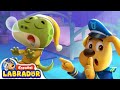 🔍Sheriff Labrador - No Despiertes al Sonámbulo😴 | Videos para Niños | BabyBus en Español