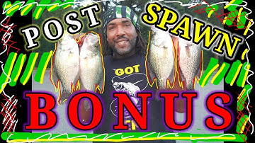 CRAPPIE FISHING POST SPAWN TIPS, FIND CRAPPIE FAST EASIEST WAY