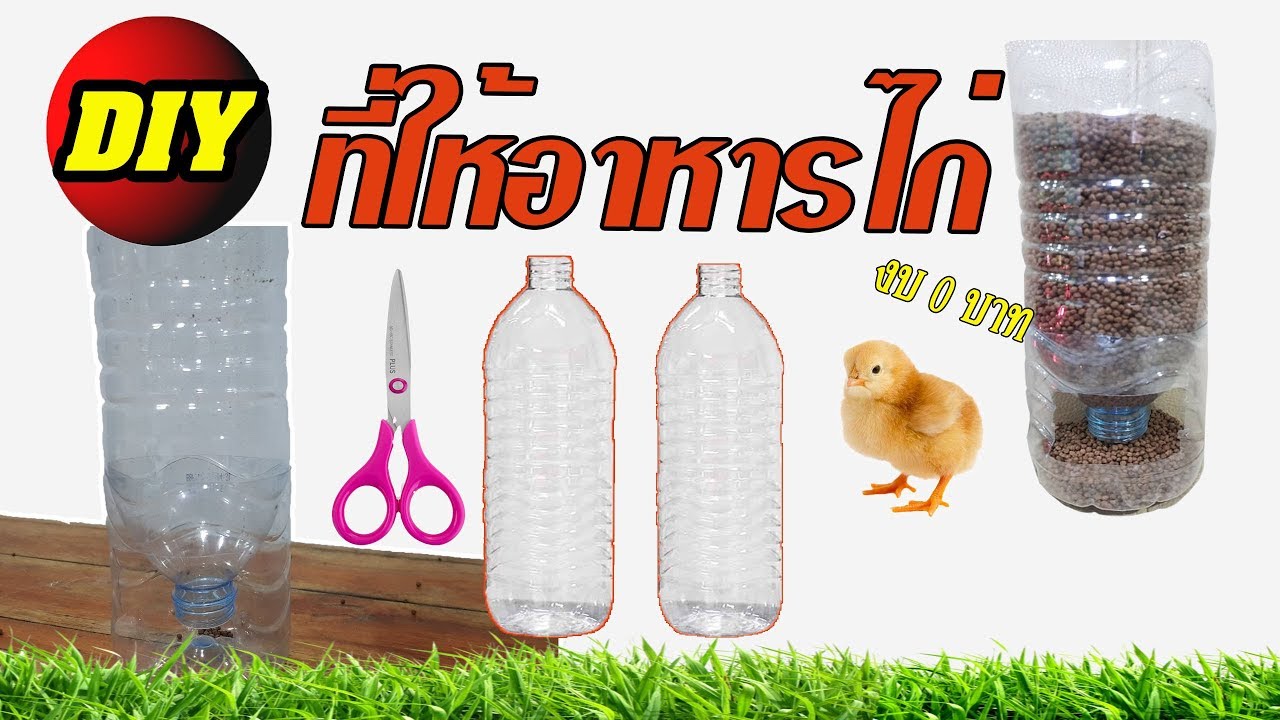 DIY ที่ใส่อาหารไก่ ที่ใส่อาหารนก ประหยัดต้นทุน | เนื้อหาที่ปรับปรุงใหม่เกี่ยวกับที่ ใส่ อาหาร ไก่