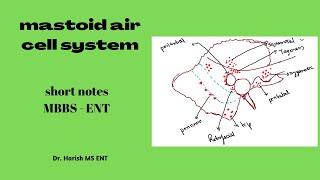 Mastoid air cell system | MBBS - ENT screenshot 2
