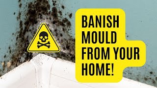 🌿 HOW TO GET RID OF BLACK MOULD FOREVER! 🌿 Stop Mould in Its Tracks and Keep Your Home Mold-Free! by Georgina Bisby DIY 21,923 views 1 year ago 10 minutes, 25 seconds