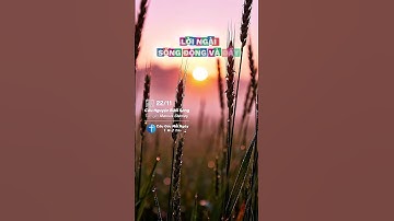 Cầu nguyện buổi sáng 22/11 Tác giả 𝗠𝗮𝗿𝗰𝘂𝘀 𝗦𝘁𝗮𝗻𝗹𝗲𝘆 Biên tập Câu Gốc Mỗi Ngày