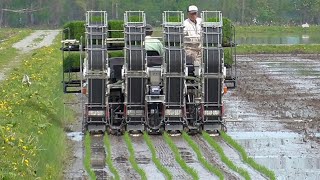 北限の産地 水田青々　士別で田植え始まる