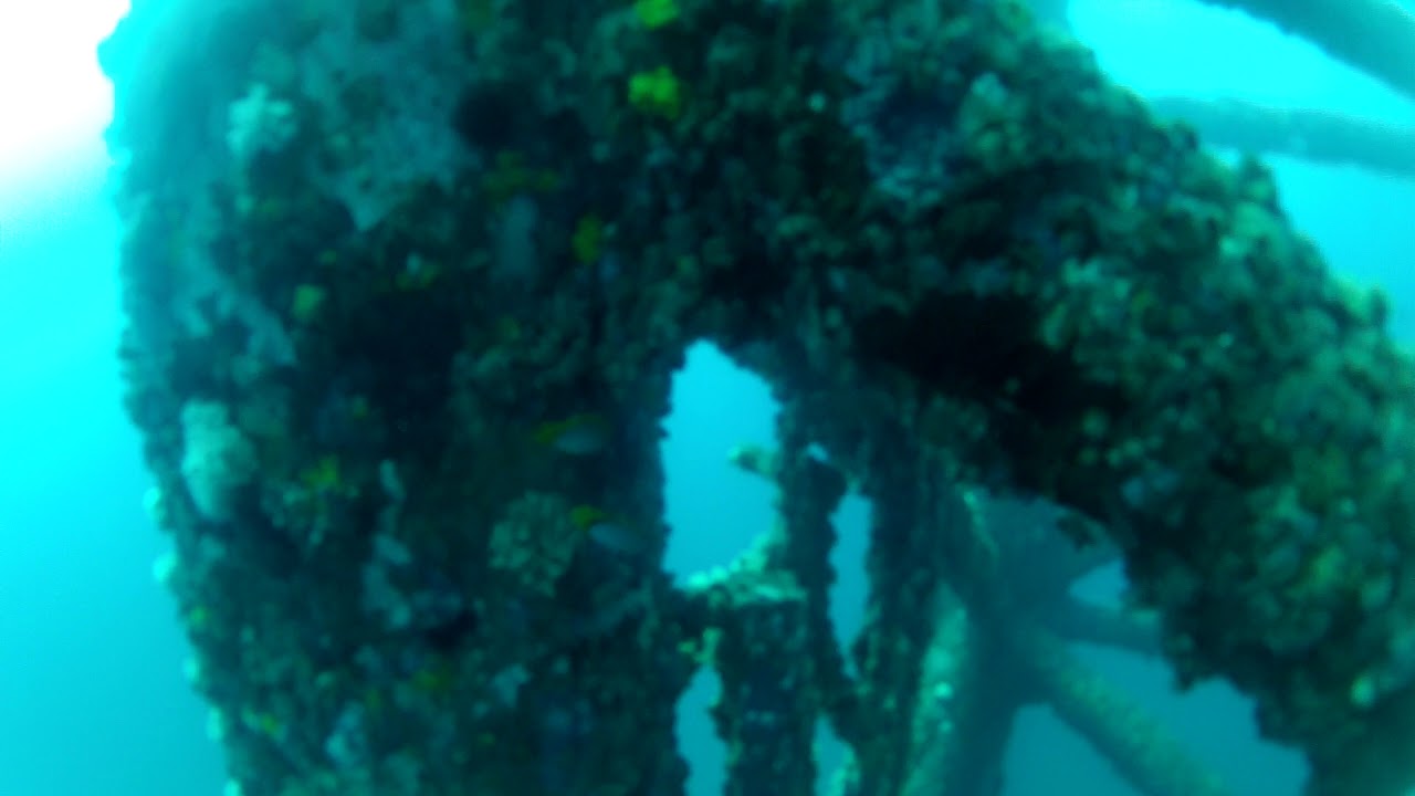 SCUBA dive off South Padre Island at the Jaked Up Oil Rigs with