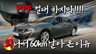 PPF 절대❌ 하지마세요 (다른데서) | 업체 이름 밝히고 싶을 정도로 참담한.... 타업체에서 시공 받고 열받아서 달려오셨습니다 | 푸조508