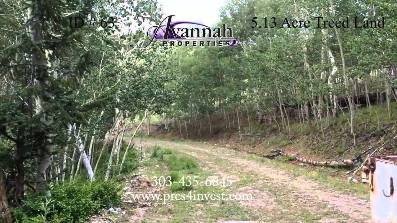 63 5.13 Acre Treed Land For Sale in Park County Colorado Mountains For