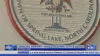 Committee reviewing nearly 1,500 questionable purchases made by Spring Lake officials
