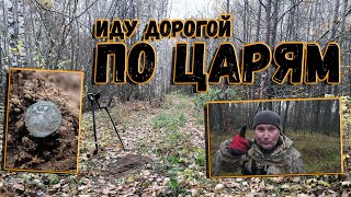 видео: Иду по лесу в поисках царских монет картинка: Иду по лесу в поисках царских монет