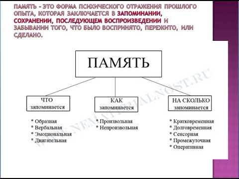 Практическое занятие №2. Внимание. Память. Мышление.