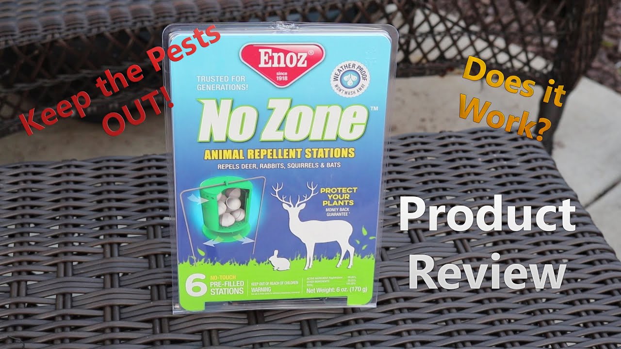 Enoz NO ZONE Review Deer, Squirrel, Rabbit and Bat Repellent YouTube