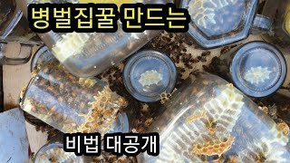병벌집꿀 만드는 비법 공개(Mason jar beehive honeybees in a jar)