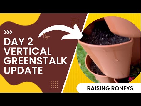 Update on the Vertical Greenstalk Planter | I SEE GREEN! #greenstalk #containergardening