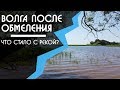 Обмеление ВОЛГИ. Что стало с рекой месяц спустя!