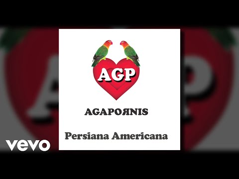 Agapornis - Persiana Americana (Pseudo Video)