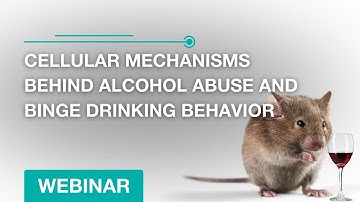 Cellular Mechanisms Behind Alcohol Abuse and Binge Drinking Behavior - Webinar