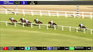 Modarosa (Palace Malice) - Lyphard Stakes $75,000 - Penn National - 2026