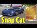 Forza Horizon 6 SnapCat Photo Challenge Guide | Series 2 Week 2 Autumn