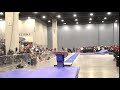 JRD Tory Vetter, Universal Gymnasts | L10 Vault 2018 JO Nationals