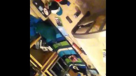 Finding Dylan