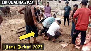 Ijtamai Qurbani 2023 | Eid UL adha 2023 | Karachi