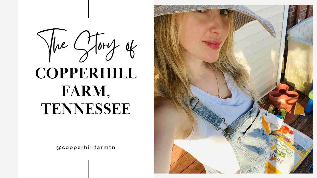 The journey that led us to CopperHill Farm, Tennessee, the beginning of