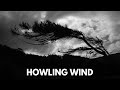 10 HR | HOWLING WIND sounds for sleeping &amp; relaxation | Dark Screen | Black Screen
