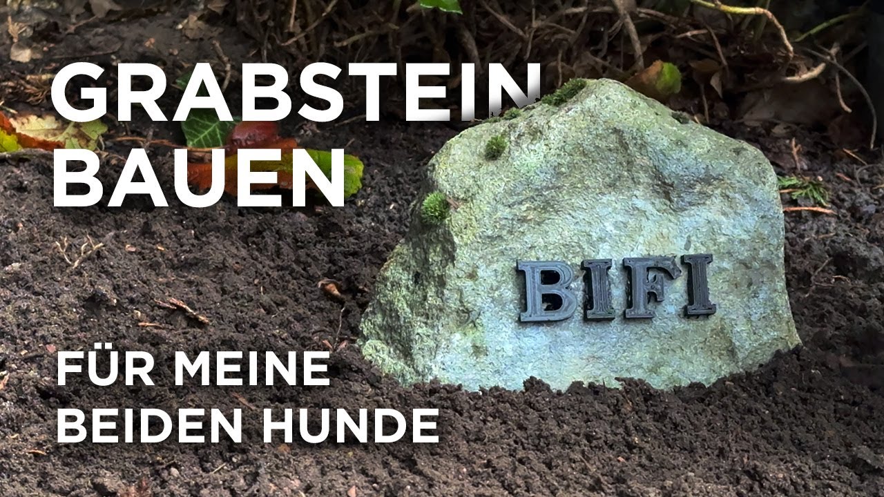 Wenn Haustiere sterben... Ich habe zwei treue Begleiter verloren.