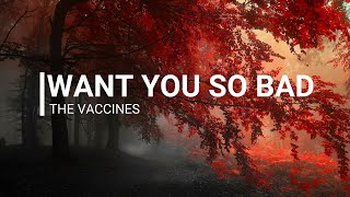 want you so bad ~ the vaccines // lyrics