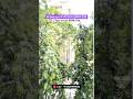 L-Type Corner 4BHK Flat in Dwarka Near | DDA Flats For Sale in Dwarka | Flats For Sale in Dwarka