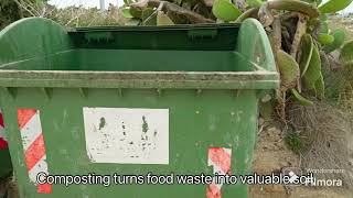 Celebrity “Small Changes, Big Impact: Top Eco-Living Tips for 2024” Profile