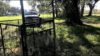 Wild Hog Hunting Part 2 (The Trap)