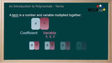 WCLN - Polynomial Introduction -Terms