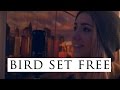 Bird Set Free - Sia ( Cover )