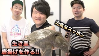 元気なスッポンをさばいて激ウマ唐揚げを作って食う！！