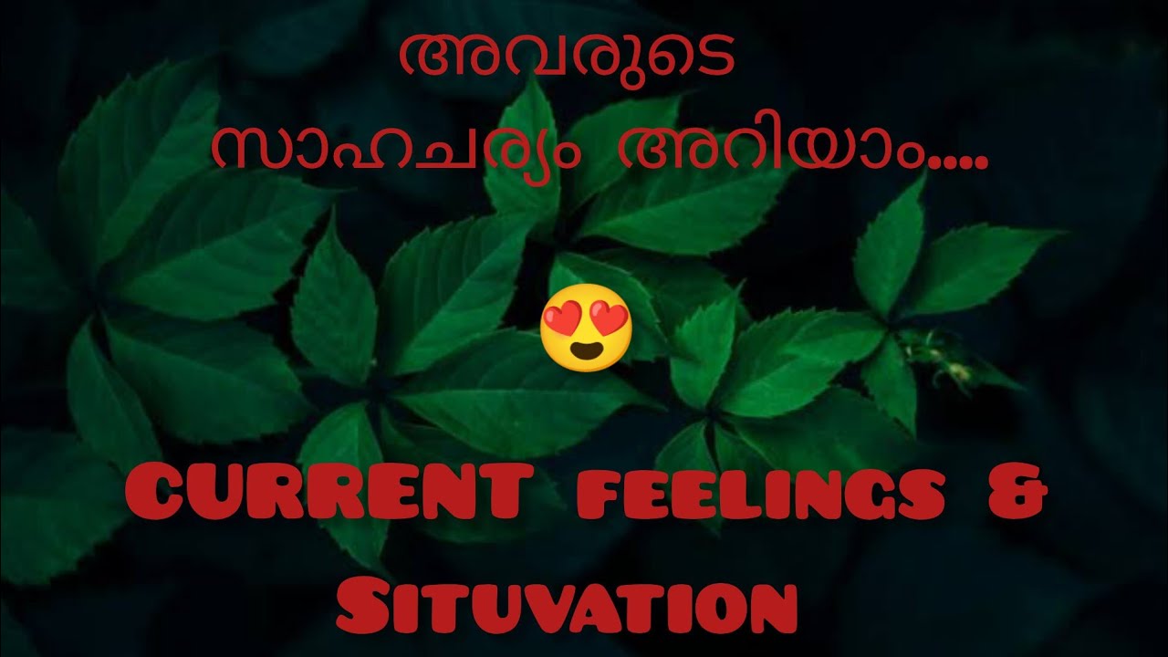അവരുടെ സാഹചര്യം ഇതാണ്🙃🙃 നിങ്ങളോടുള്ള താല്പര്യം എന്താണെന്നു അറിയാം ❤️❤️❤️ current feelings ❤️#tarot