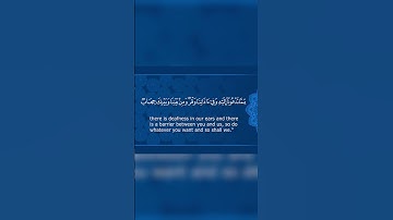 بداية سورة فصلت