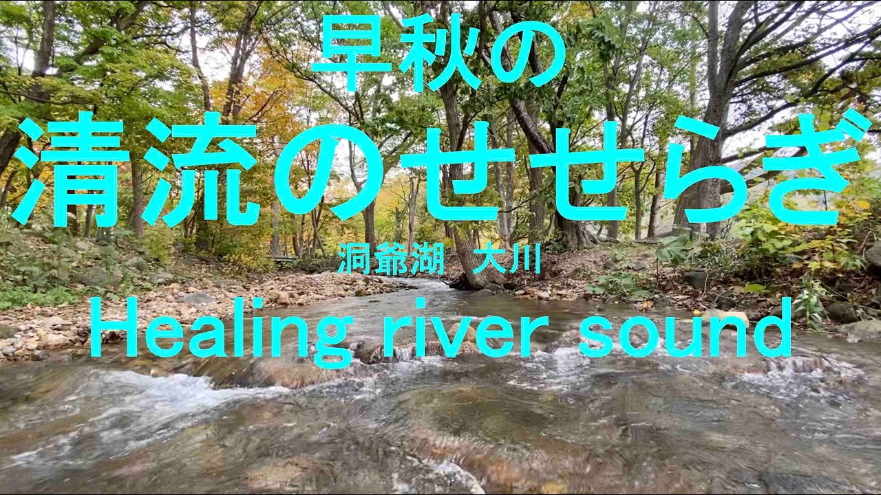 川のせせらぎ|川の音|紅葉| 1hour|ASMR|水の音|癒し|瞑想|water sound|healing|meditation ...