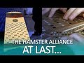 At last hamster alliance