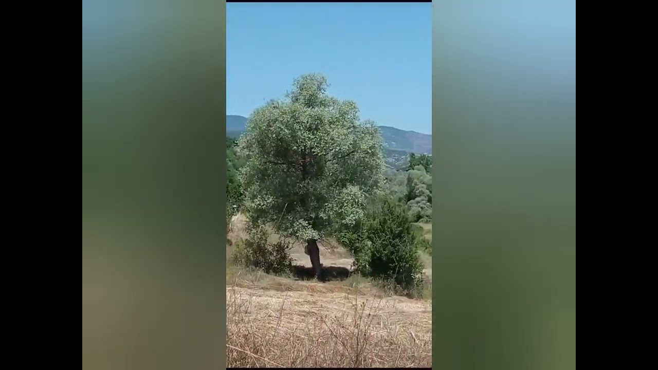 💥tokat almus karadere köyü 💥