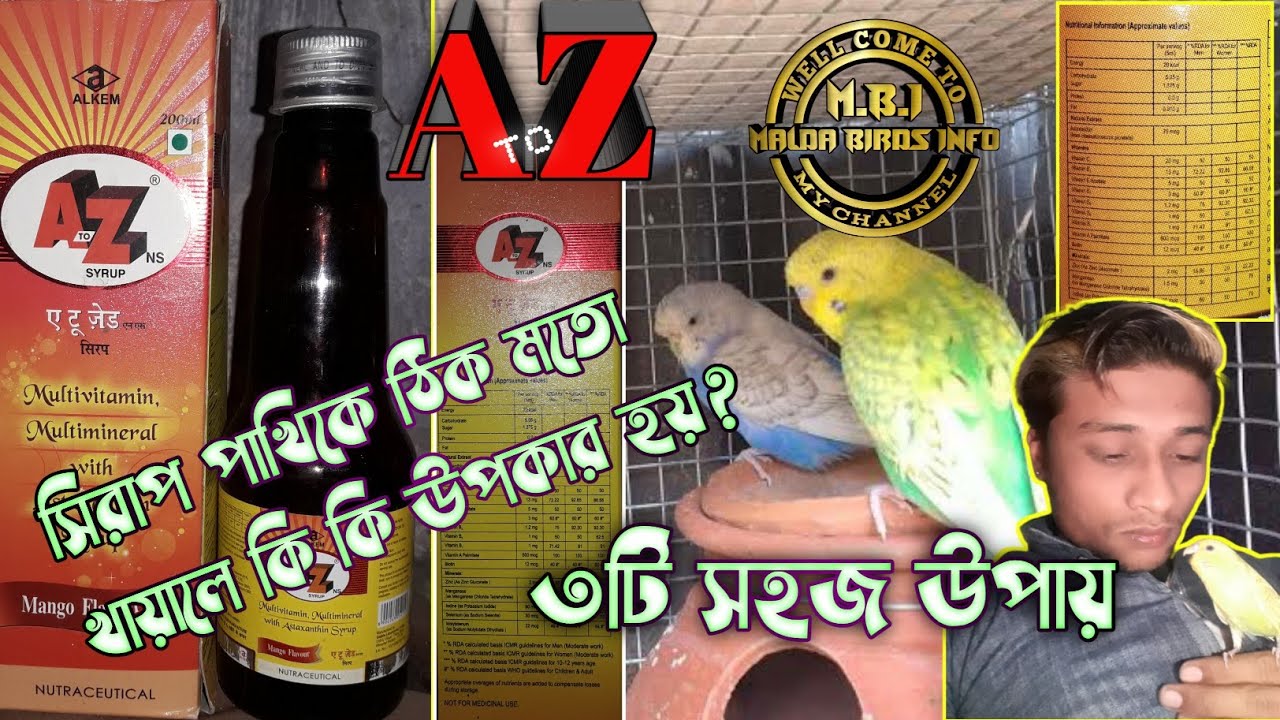 atoz syrup Find out in detail what are the benefits of feeding syrup to birds at the right