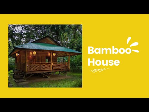 Bamboo House Tour | Eco friendly House
