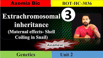 Maternal effect| Shell coiling in Snail| Genetics| GU 3rd sem| Dr. Rajib Borah| Assamese| Axomia Bio