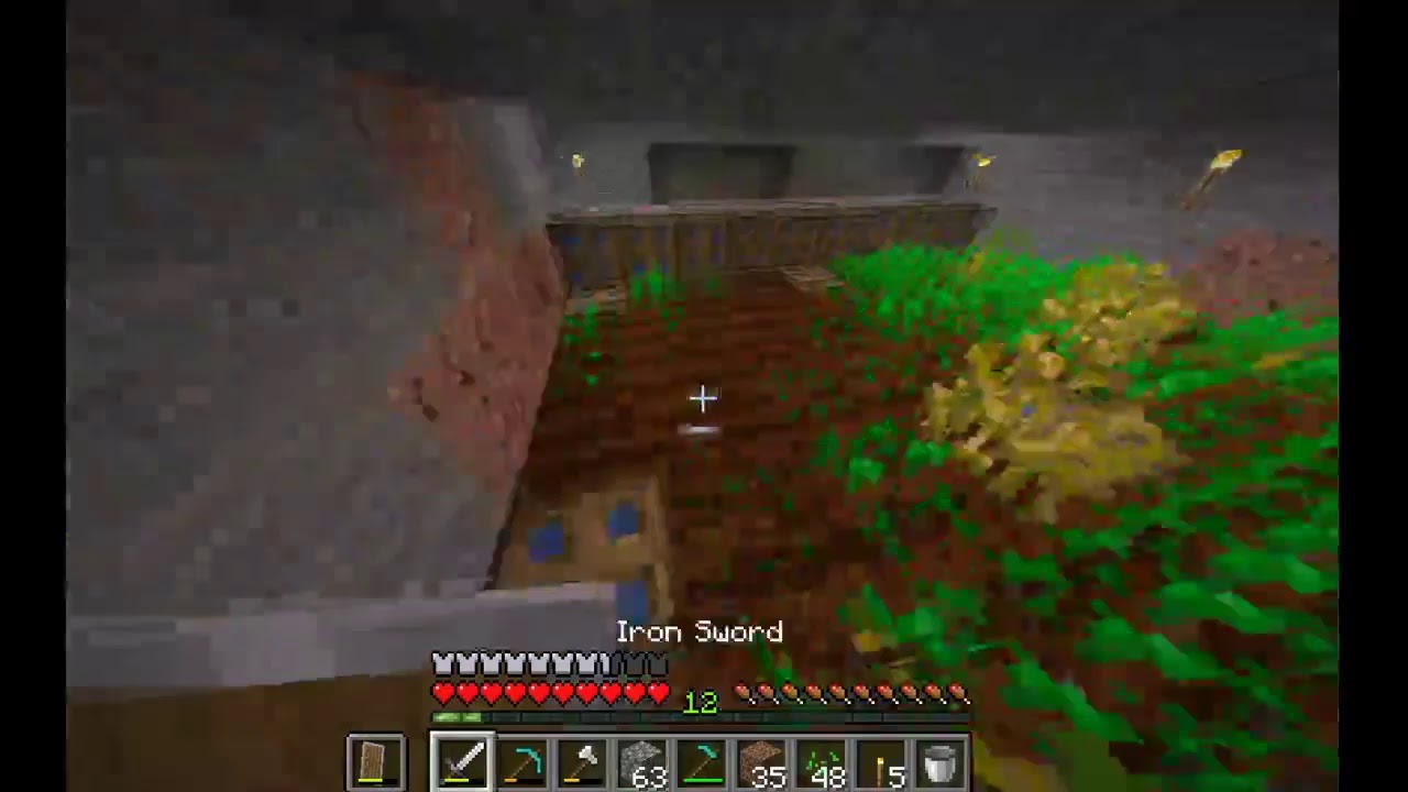 Farms and Progress(Survival world)(Java 1.16.3) | VisionIsHere