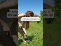 УДАЛЕНКА ДЛЯ ОДУВАНЧИКОВ 😅
