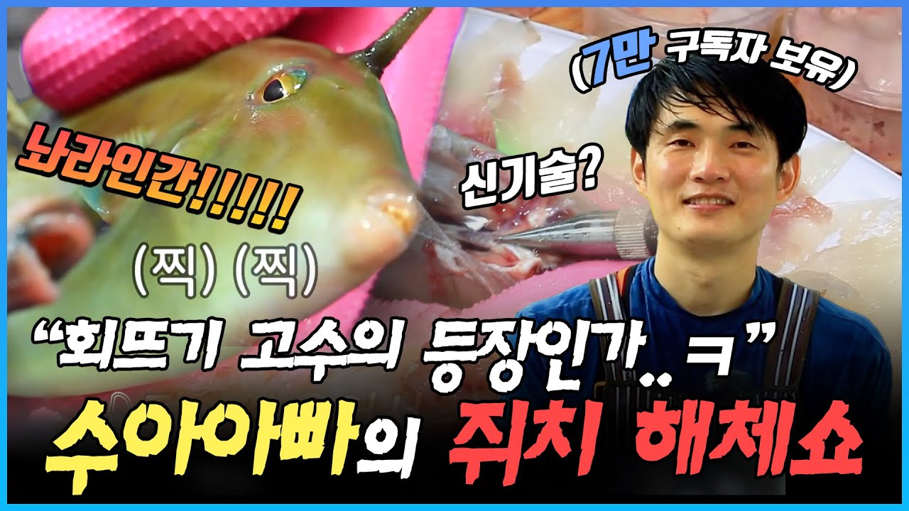 유튜브계에 회뜨기 고수의 등장이라..ㅋ★ 구독자 7만명! 본업존잘 칼잡이 수아아빠의 쥐치 해체쇼🐟 #쥐치 #회 #회뜨기 #어시장 #어시장블루스