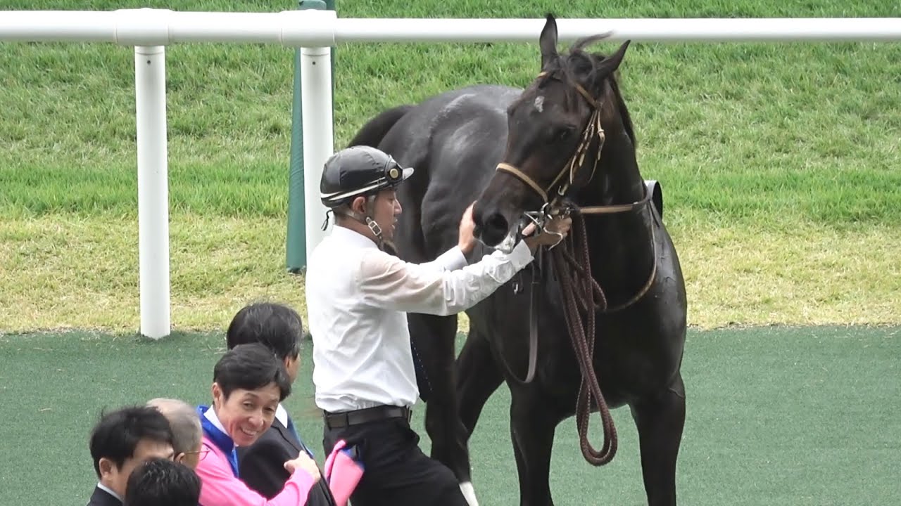 【現地】2025 メイショウソラリス 武豊 2歳未勝利戦 【京都競馬場】